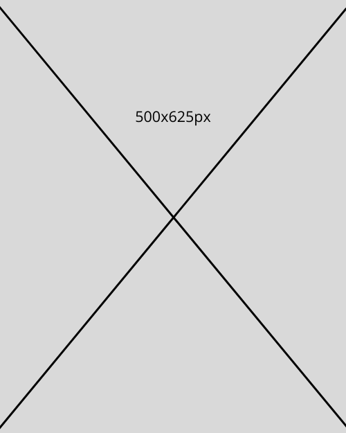 500x625px