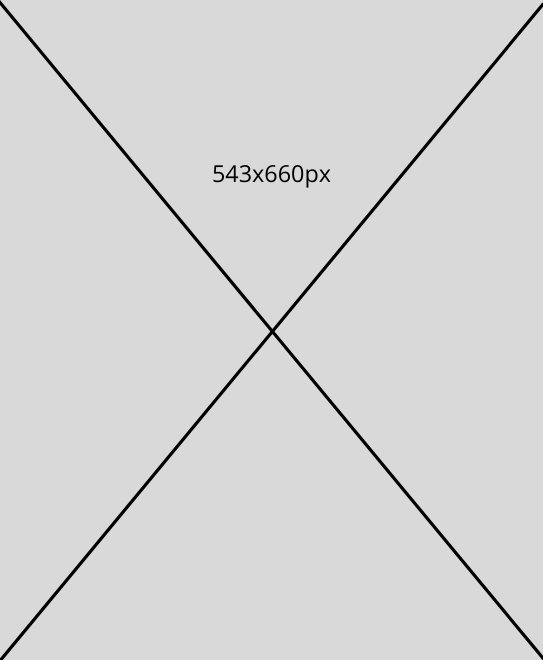543x660px