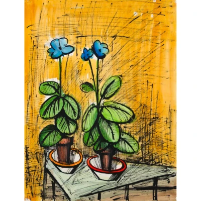 Primeveres bleues