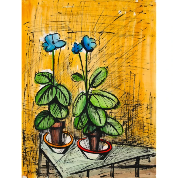 Primeveres bleues