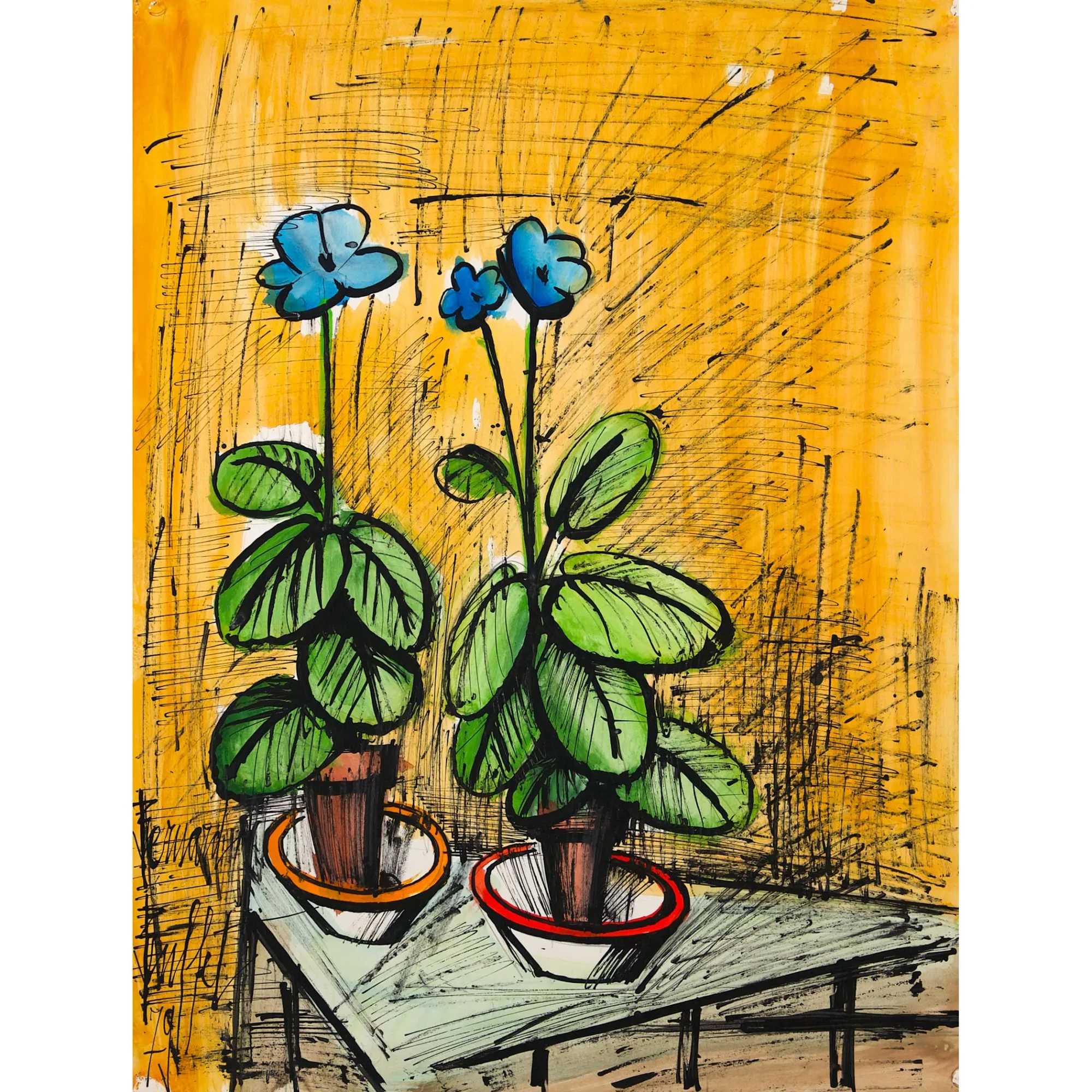 Primeveres bleues